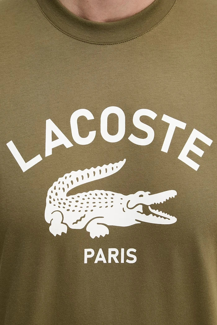 Lacoste erkek pamuklu tişört