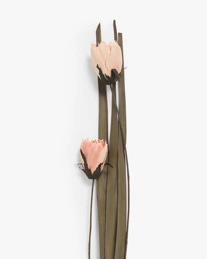 Изсушени цветя Calma House Dahlia (2 броя) 95-100 cm