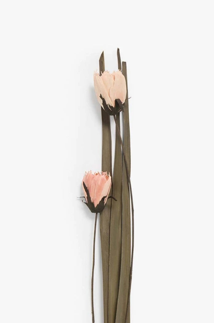 Изсушени цветя Calma House Dahlia (2 броя) 95-100 cm