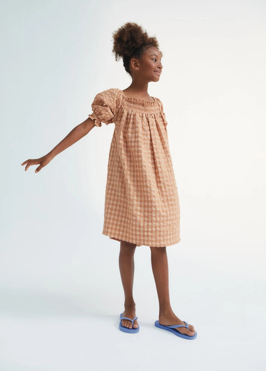 The New Society - Canyon checked cotton-blend dress