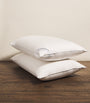 Medium/Firm Canadian Goose Down Pillow (50cm x 75cm)