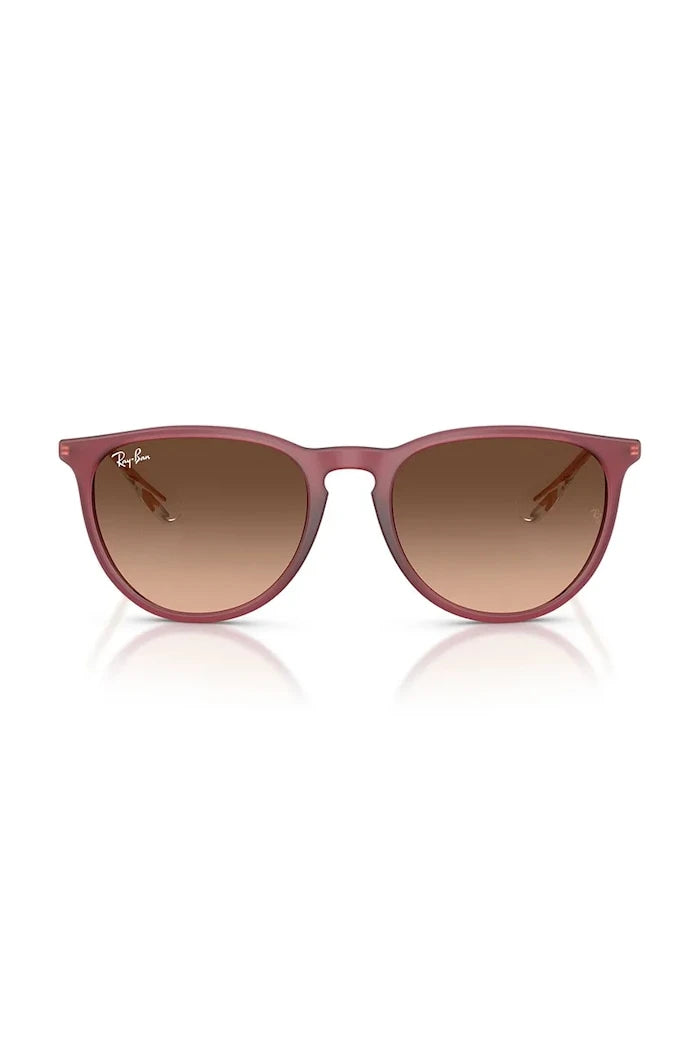 Ray-Ban Güneş Gözlüğü