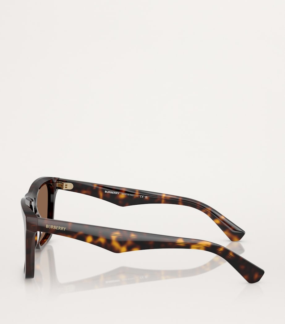 Acetate Wayfarer Sunglasses
