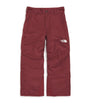 The North Face Insulated Freedom Ski Trousers (6-16 Years)