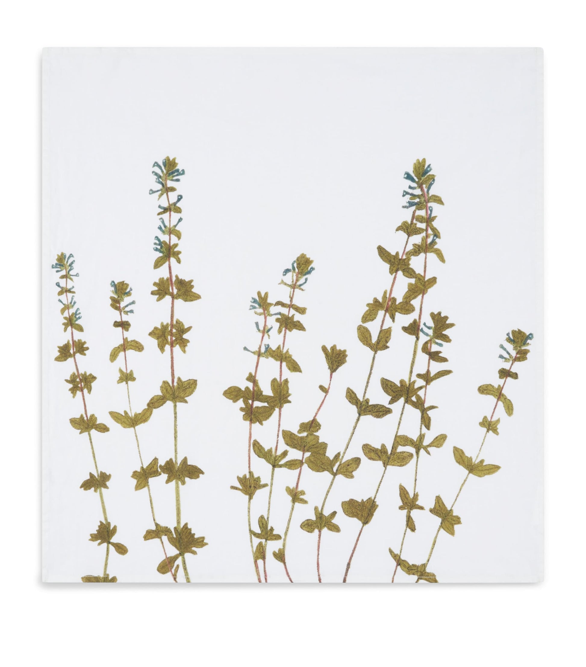 Set of 6 Linen Gastronomic Herb Garden Napkins (50cm x 50cm)