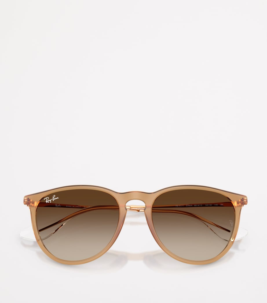 Ray-Ban RB4171 Erika Classic Sunglasses