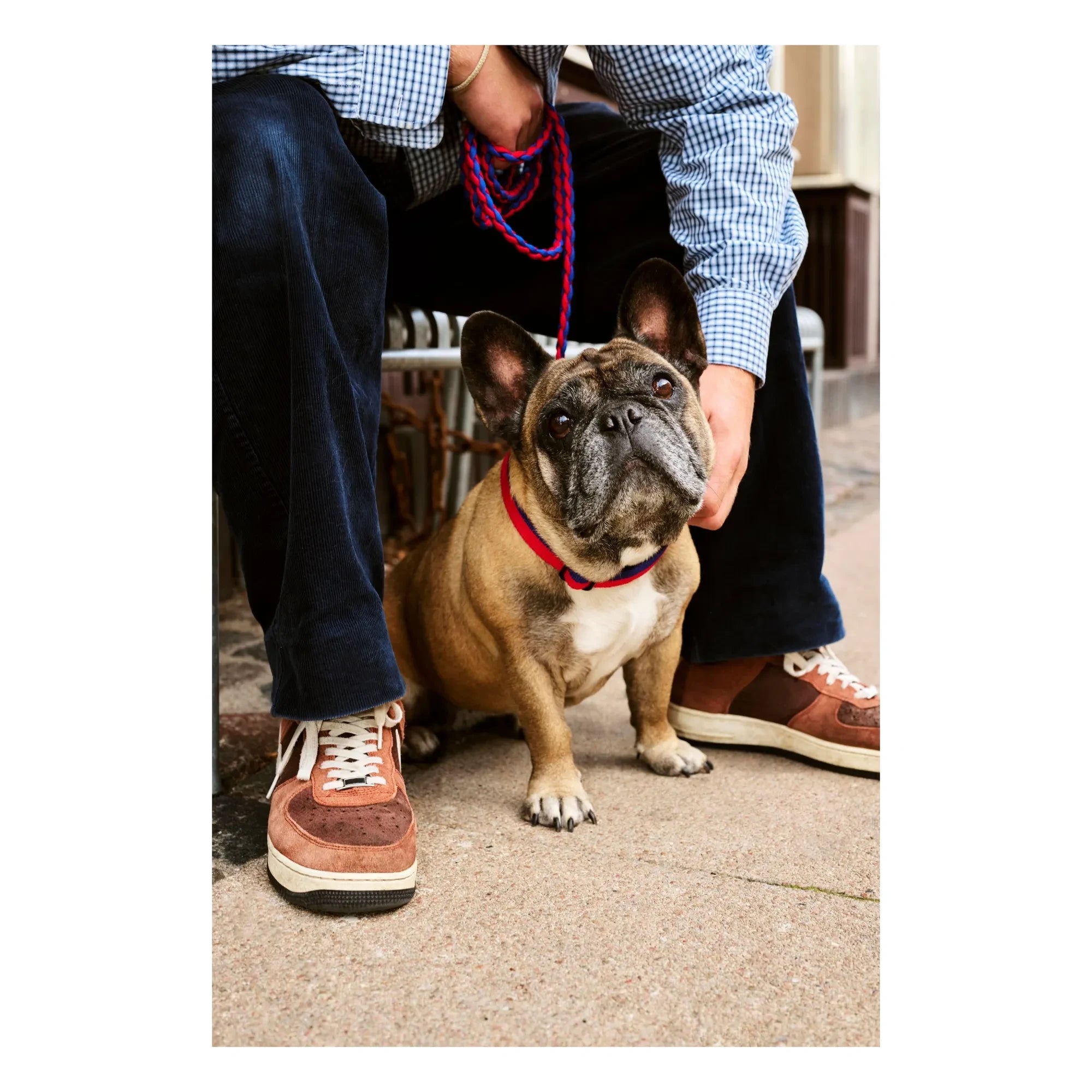 Hay - Adjustable lead | Blue