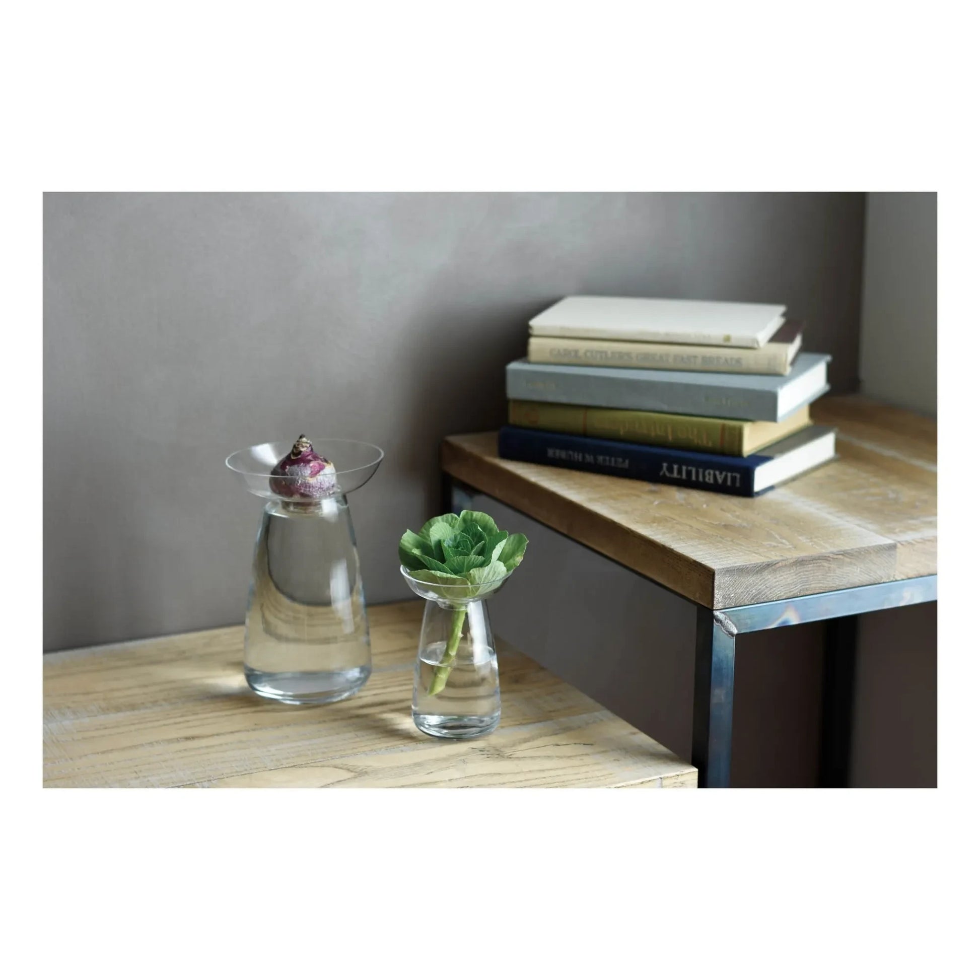 Kinto - Aquaculture Glass Vase | Transparent