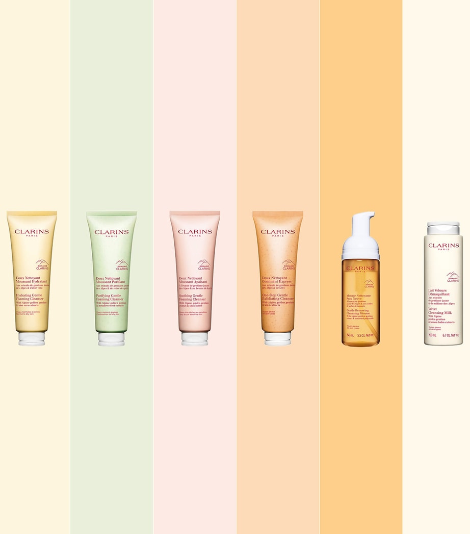 Clarins Purifying Gentle Foaming Cleanser (125ml)