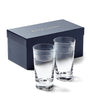 Set of 2 Langley Highball Tumblers