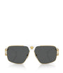 Versace Steel 0VE2251 Sunglasses