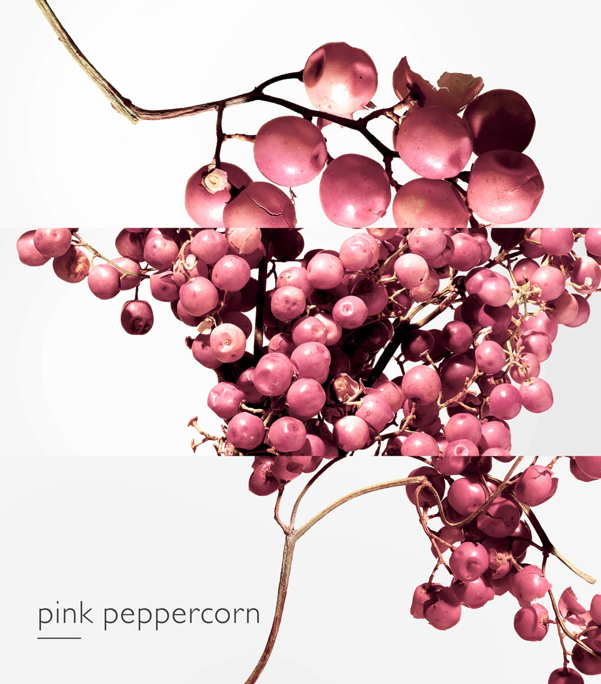 HERMÈS Twilly d'Hermès Eau Poivrée Eau de Parfum (85ml)