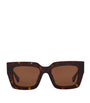 Brown Acetate 06J000394 Sunglasses