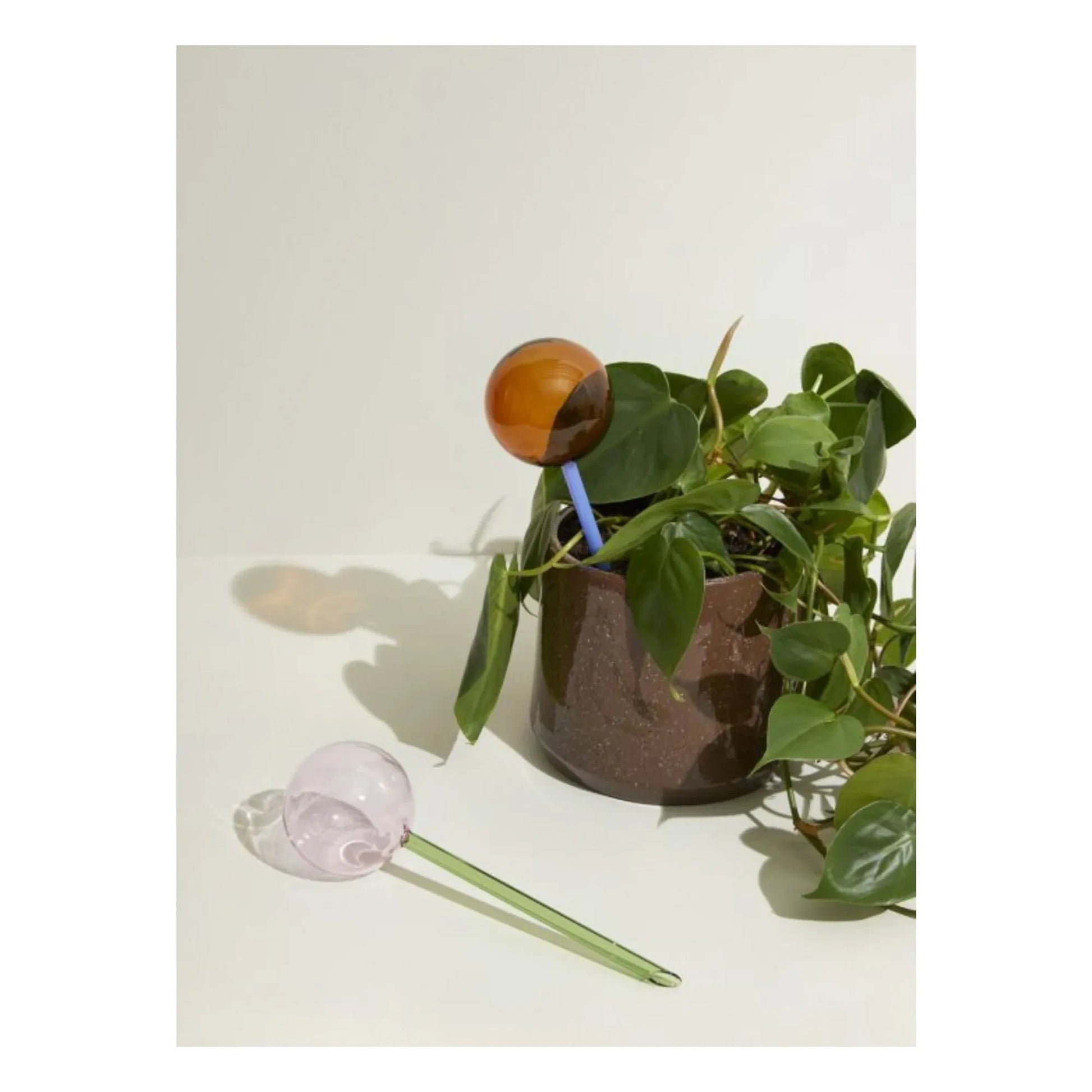 Hübsch - Flora glass watering globe  | Pink