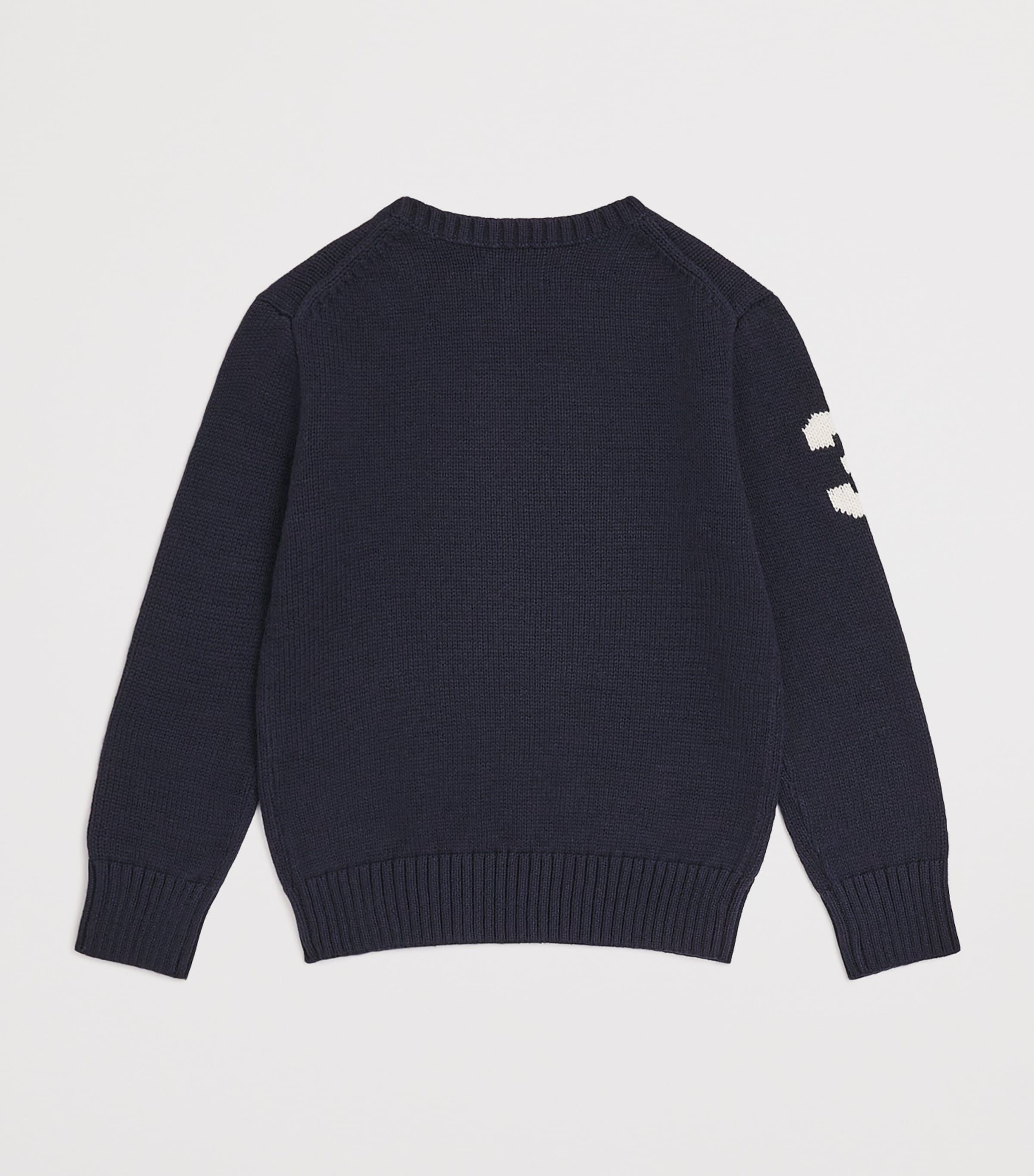 Ralph Lauren Kids Cotton Polo Bear Sweater (2-7 Years)