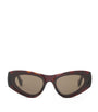 LOEWE Brown x Paula's Ibiza Front Lenses Cat Eye Sunglasses