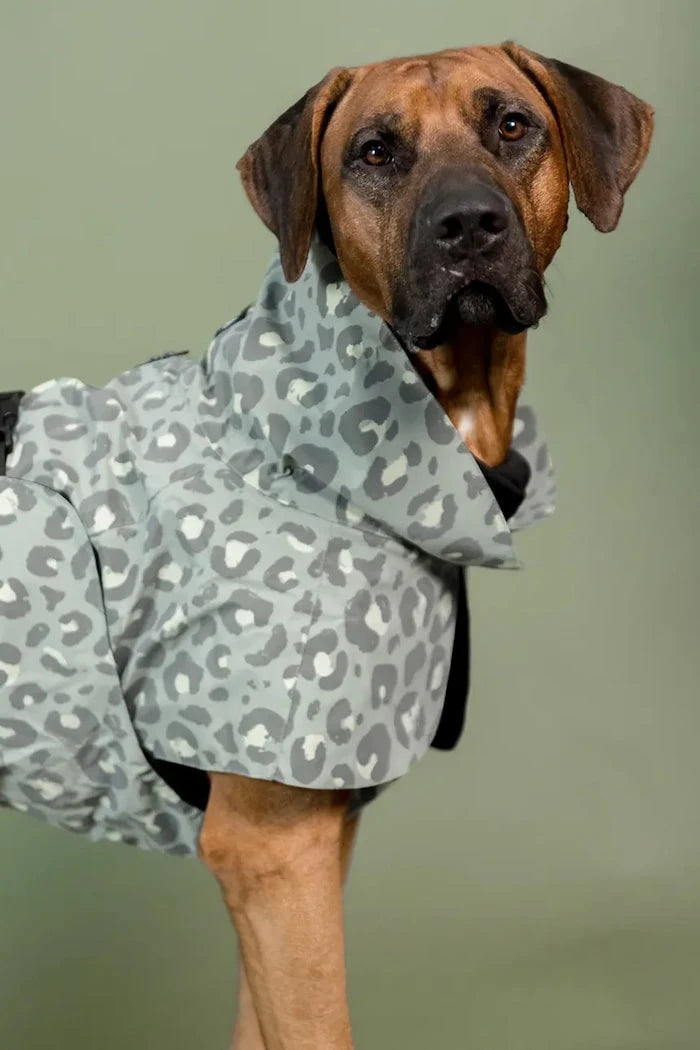 Кучешки дъждобран PAIKKA Visibility Raincoat 56 x 45 x 0,9 cm