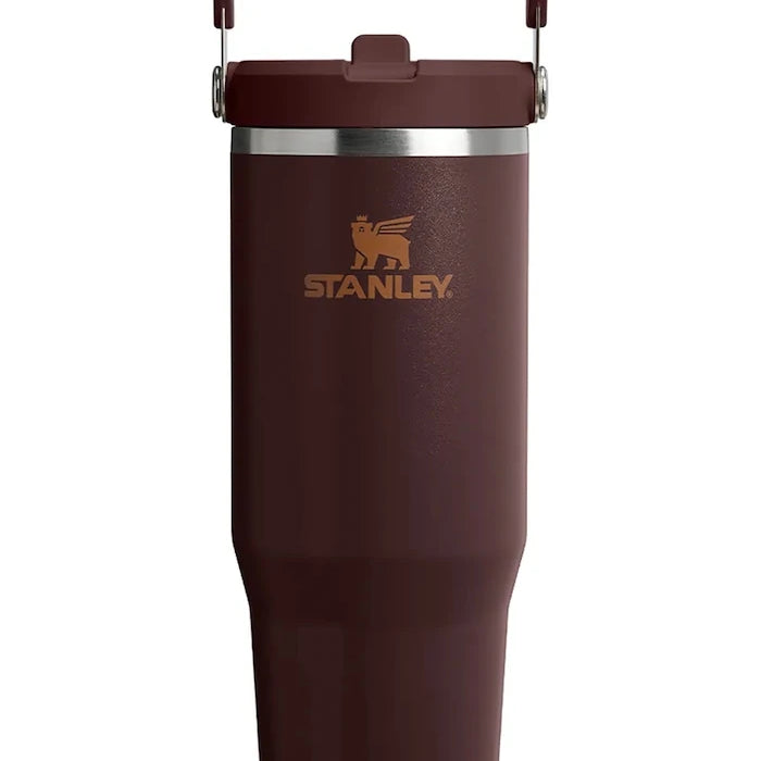Paslanmaz Çelik Termo Bardak IceFlow Flip Straw 0.89L