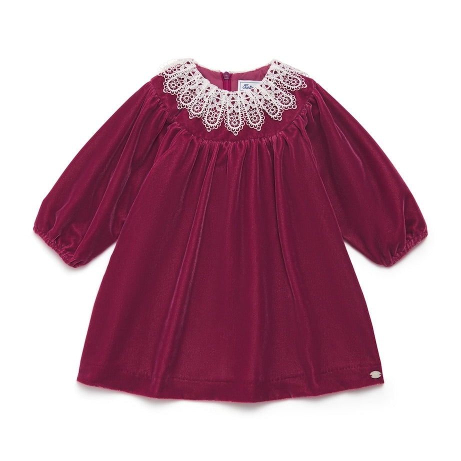 Tartine et Chocolat Pink Velvet Lace-Collar Dress (3 Months-4 Years)