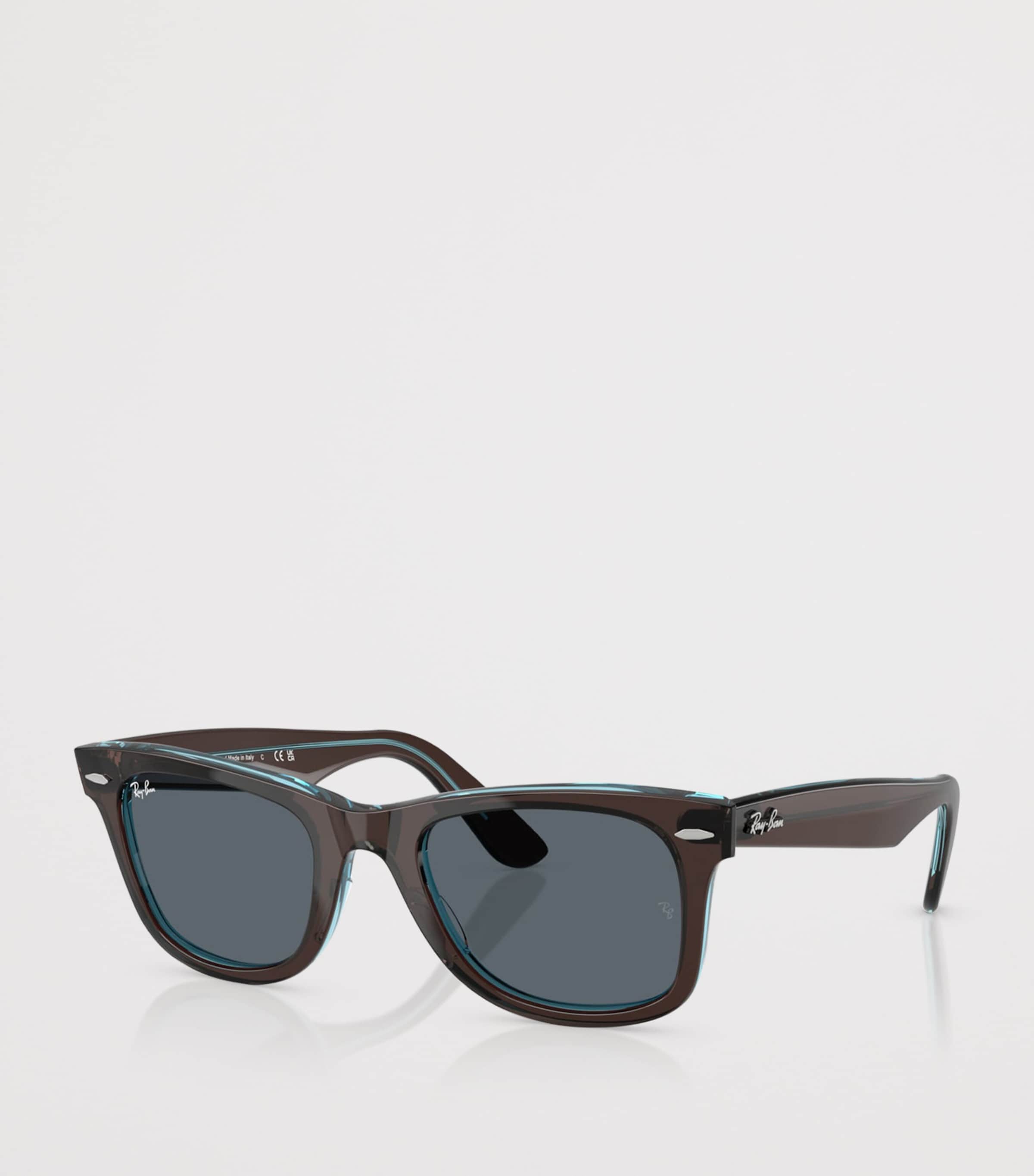 Acetate Wayfarer Sunglasses