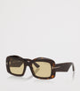 Brown Acetate Venetia Sunglasses