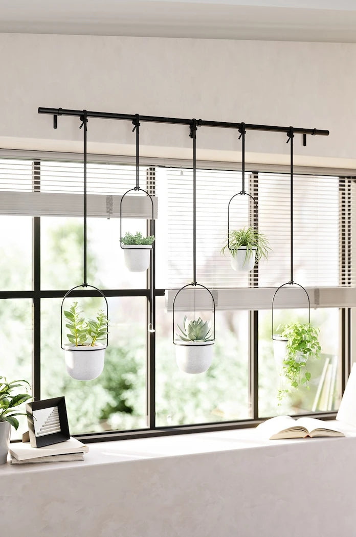 Umbra Duvar Saksı Seti 2 x O 10 cm / 3 x O15 cm