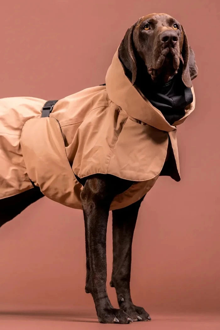 PAIKKA Visibility Winter Jacket Köpek Kışlık Mont 48 x 42 x 2,1 cm