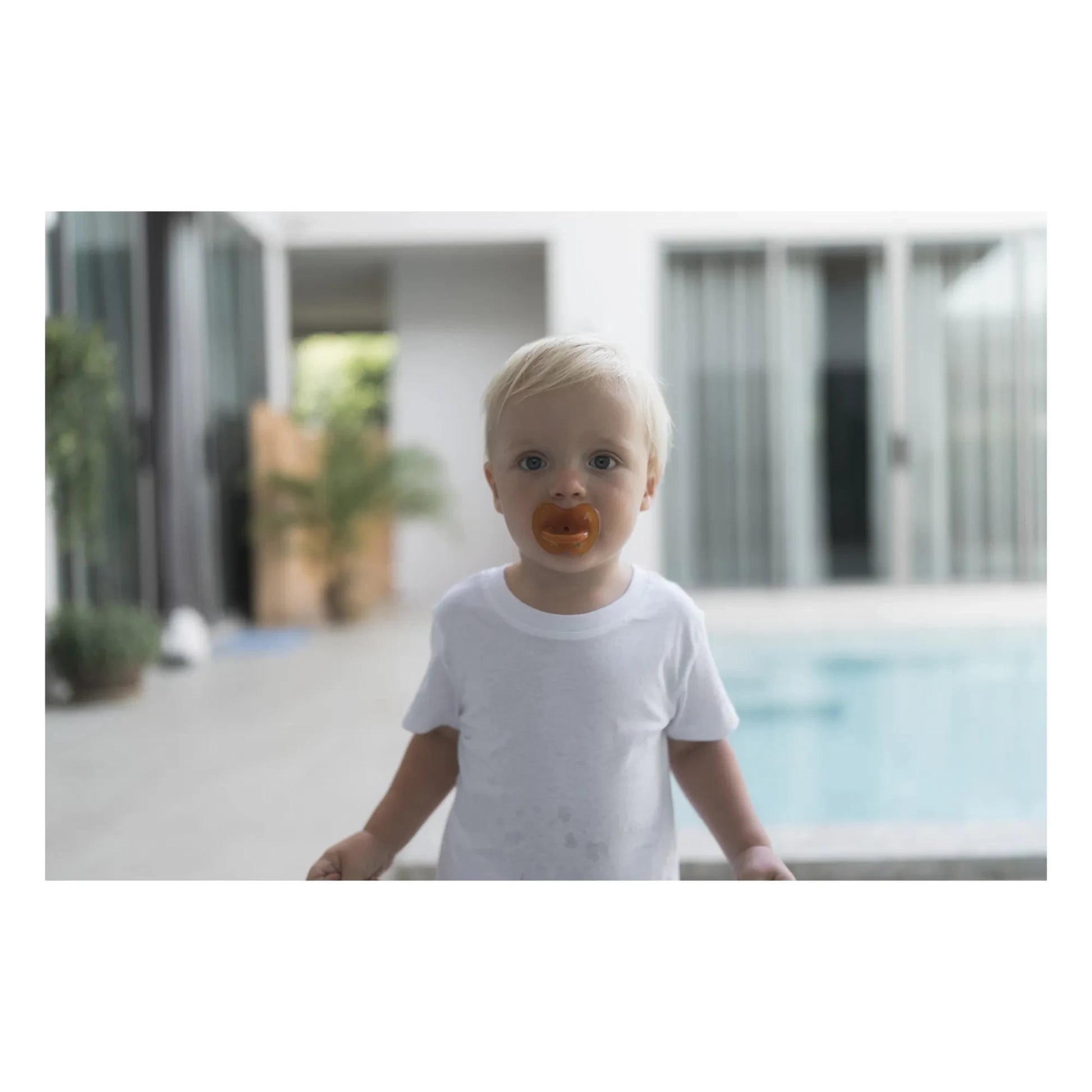 Hevea - Natural Orthodontic Pacifier Dummy