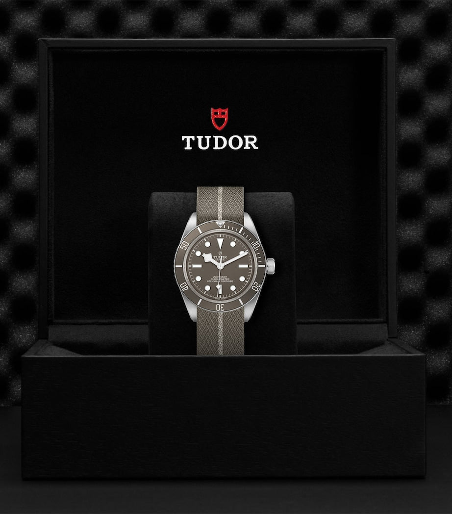 TUDOR Black Bay Fifty-Eight Silver Watch 39mm