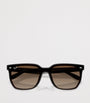RB4466D Square Sunglasses