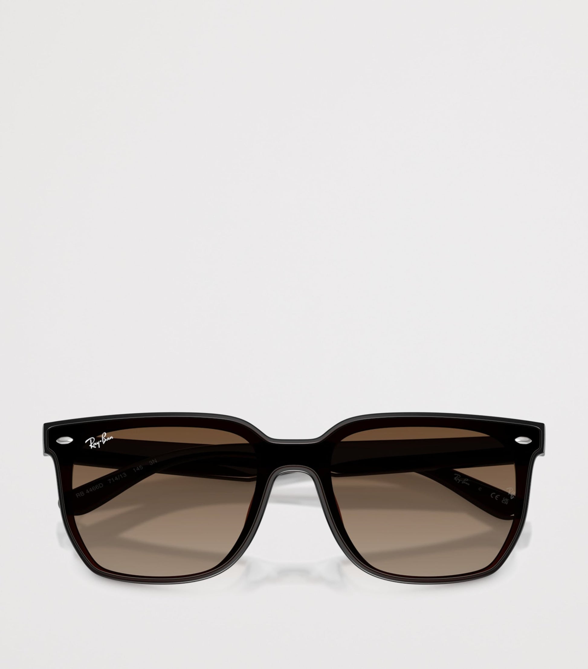 RB4466D Square Sunglasses