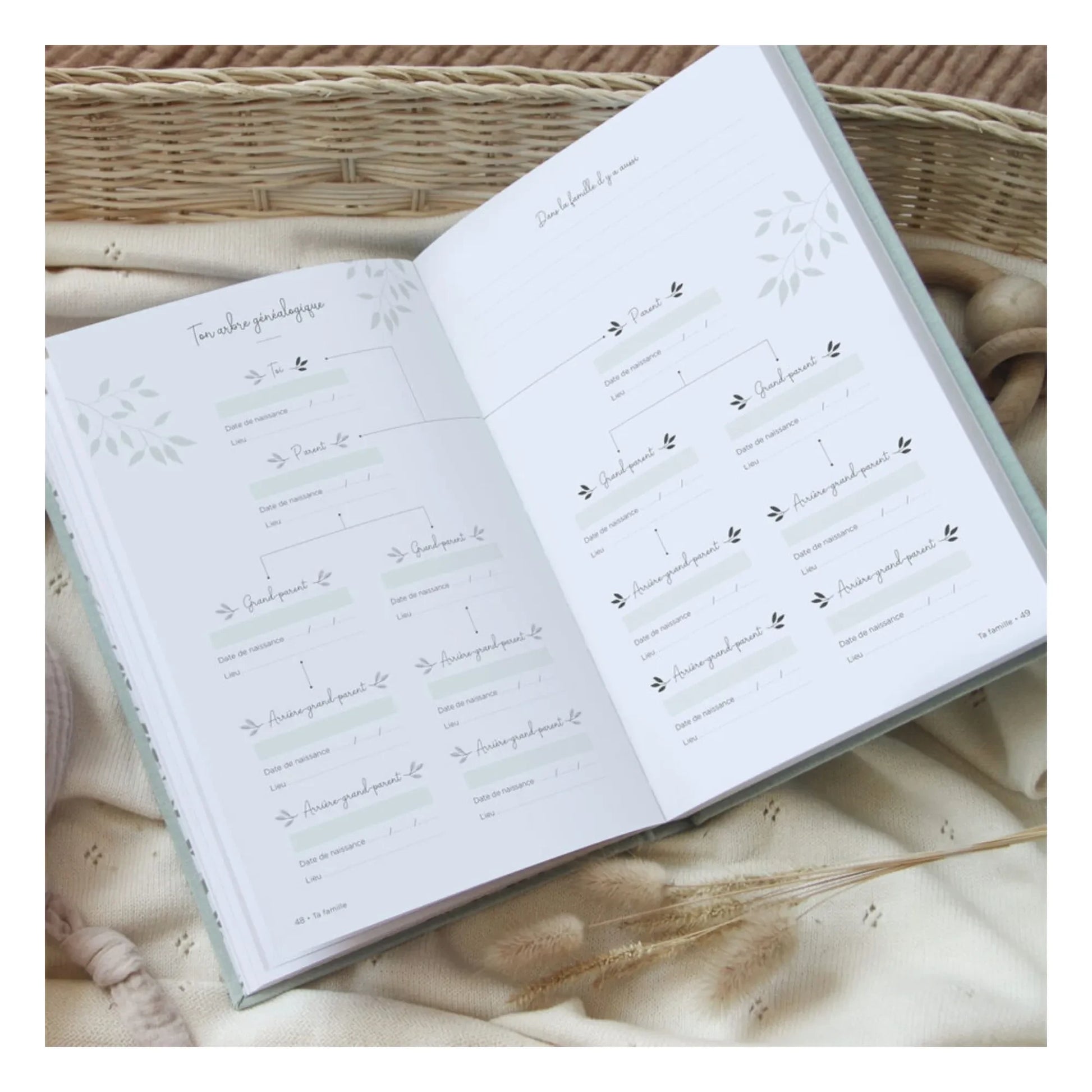 Zü - Your first 10 years souvenir book