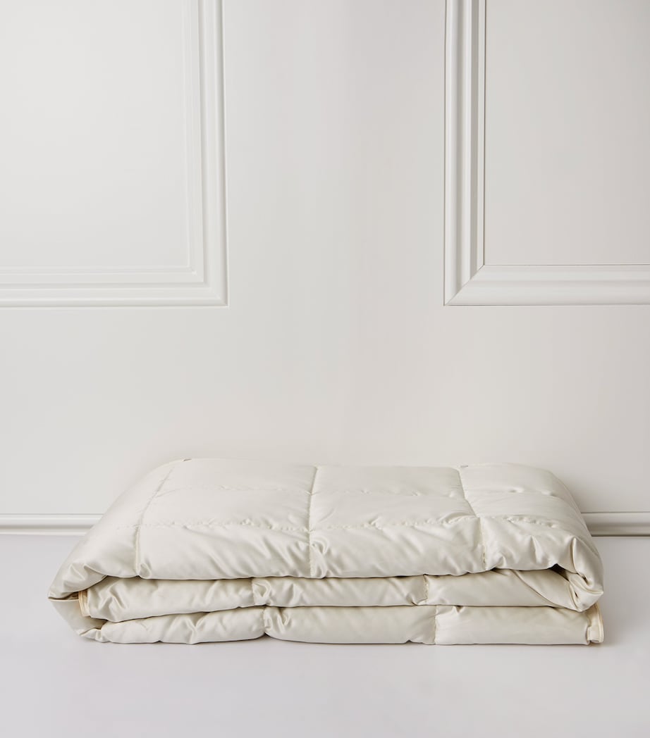 Brinkhaus Double Arctic Duck Down Duvet (4.5 Tog)