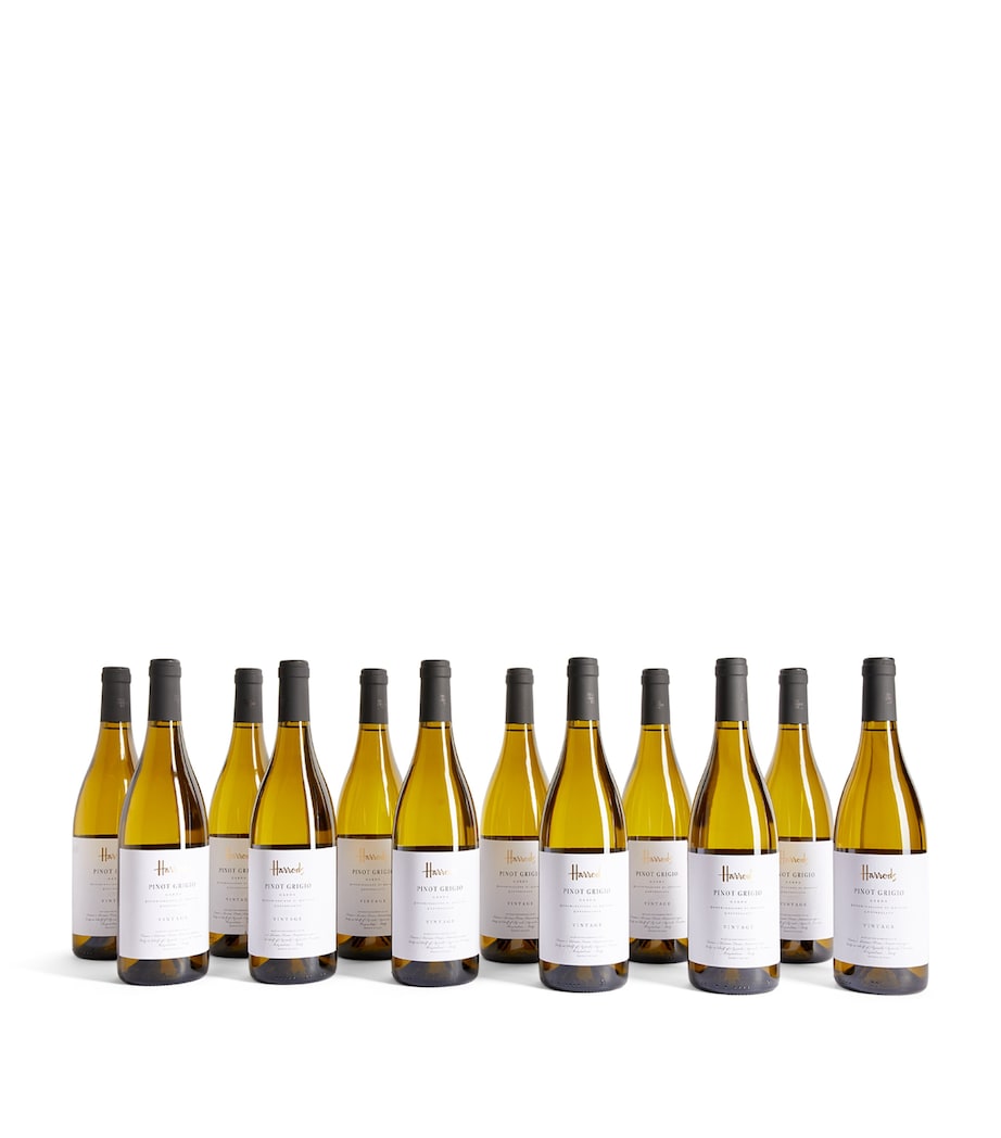 Pinot Grigio Wine Case (12 Bottles) - Lombardy, Italy