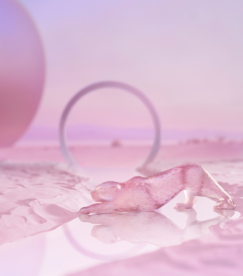 Large Rose Nebula Zeila Panther