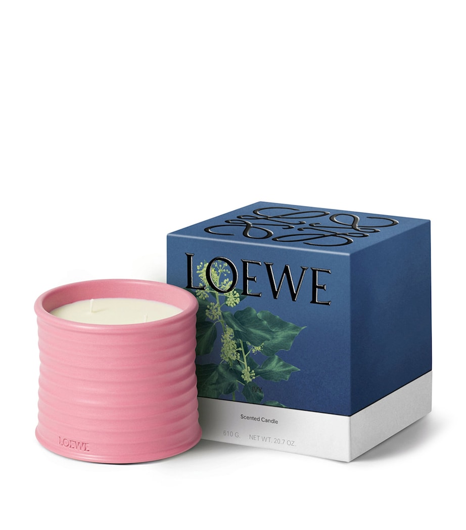LOEWE Medium Ivy Candle (610g)