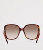 Brown Acetate 06N000487 Sunglasses