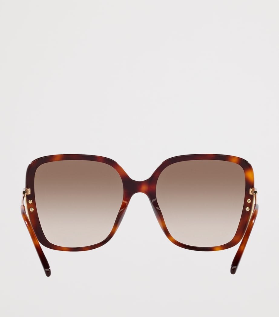Brown Acetate 06N000487 Sunglasses