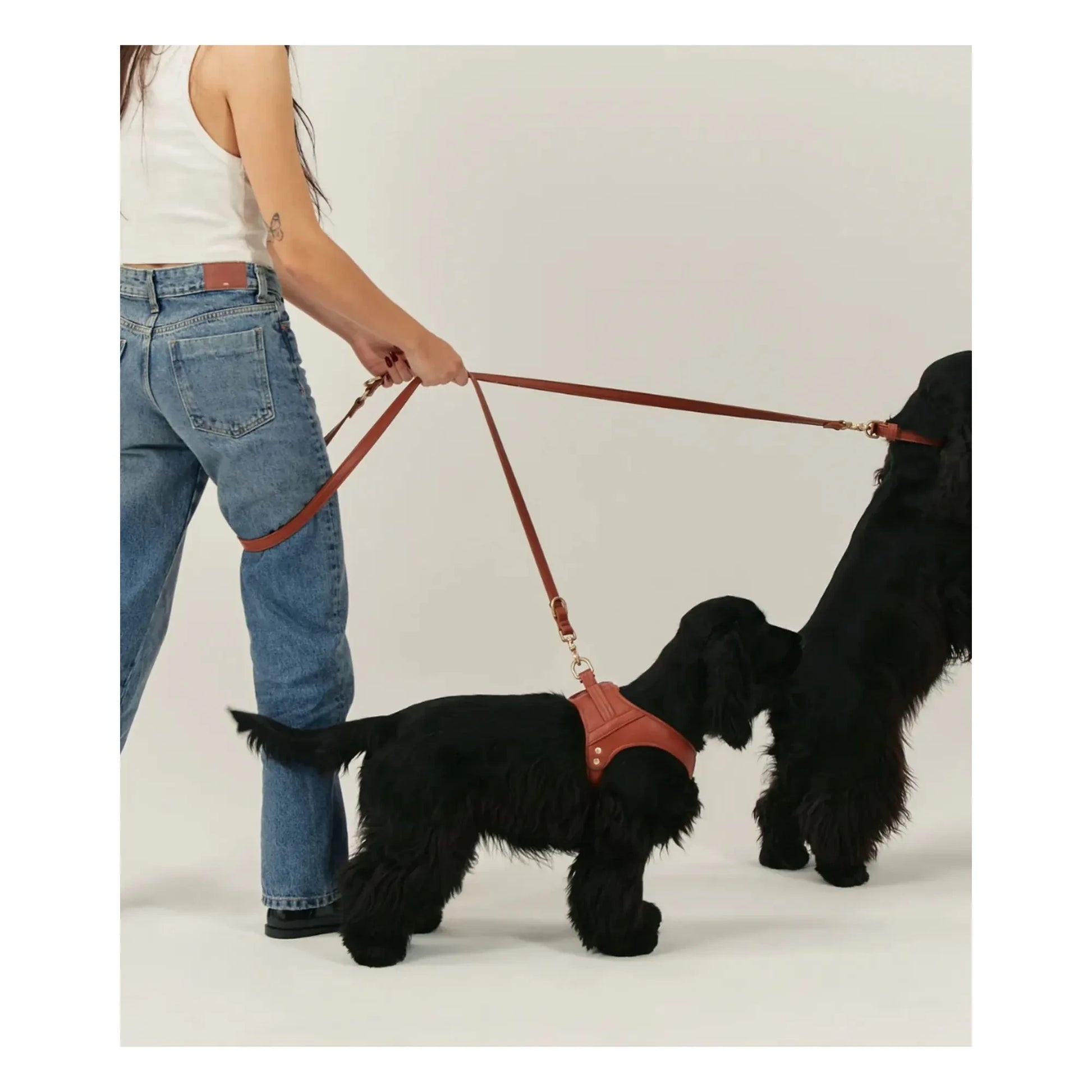 Cafide - 3 position dog leash in vegan leather | Brown