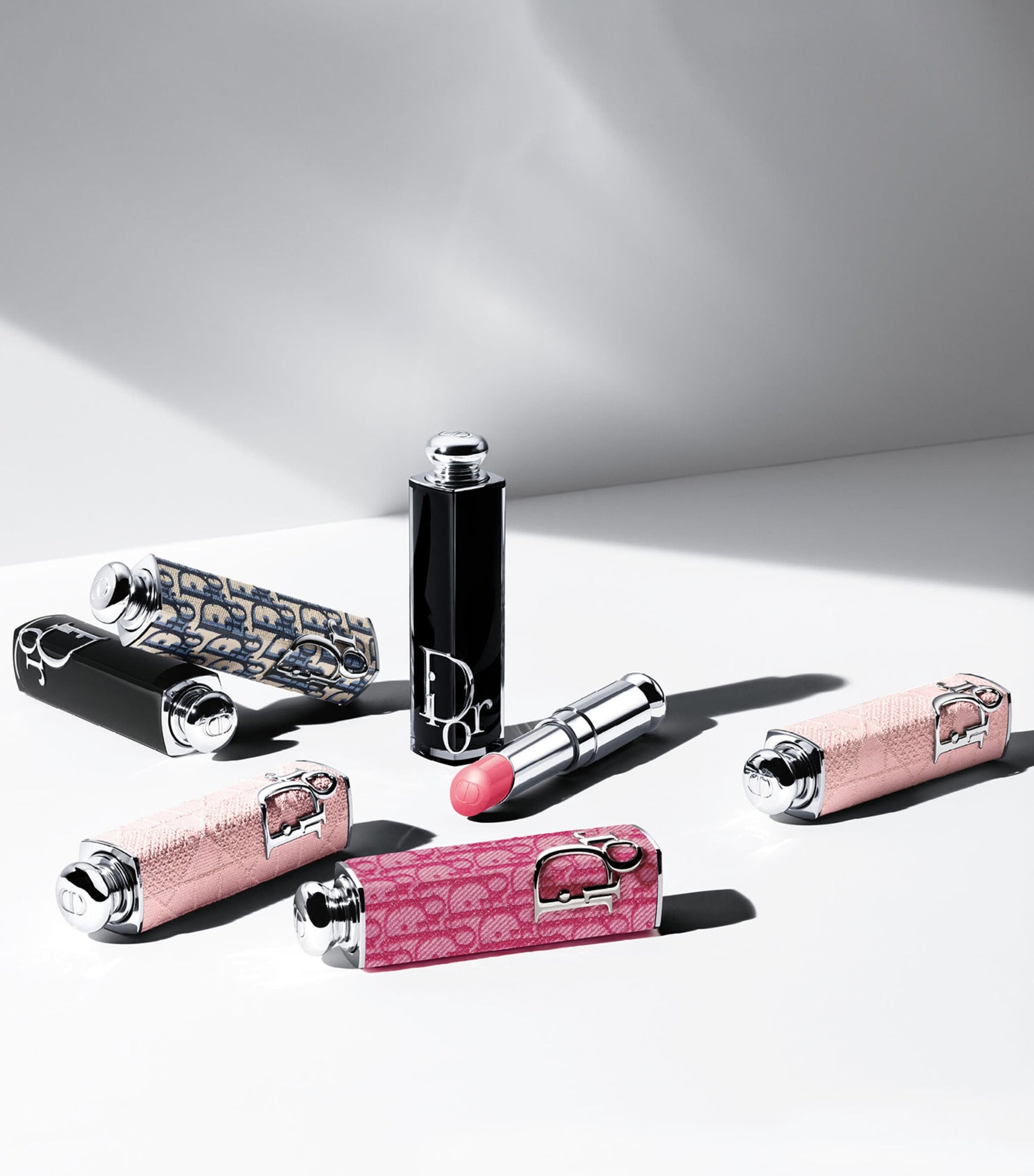 Dior Addict Shine Lipstick Case