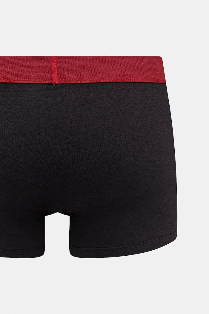 Levi's Erkek Boxer 2'li