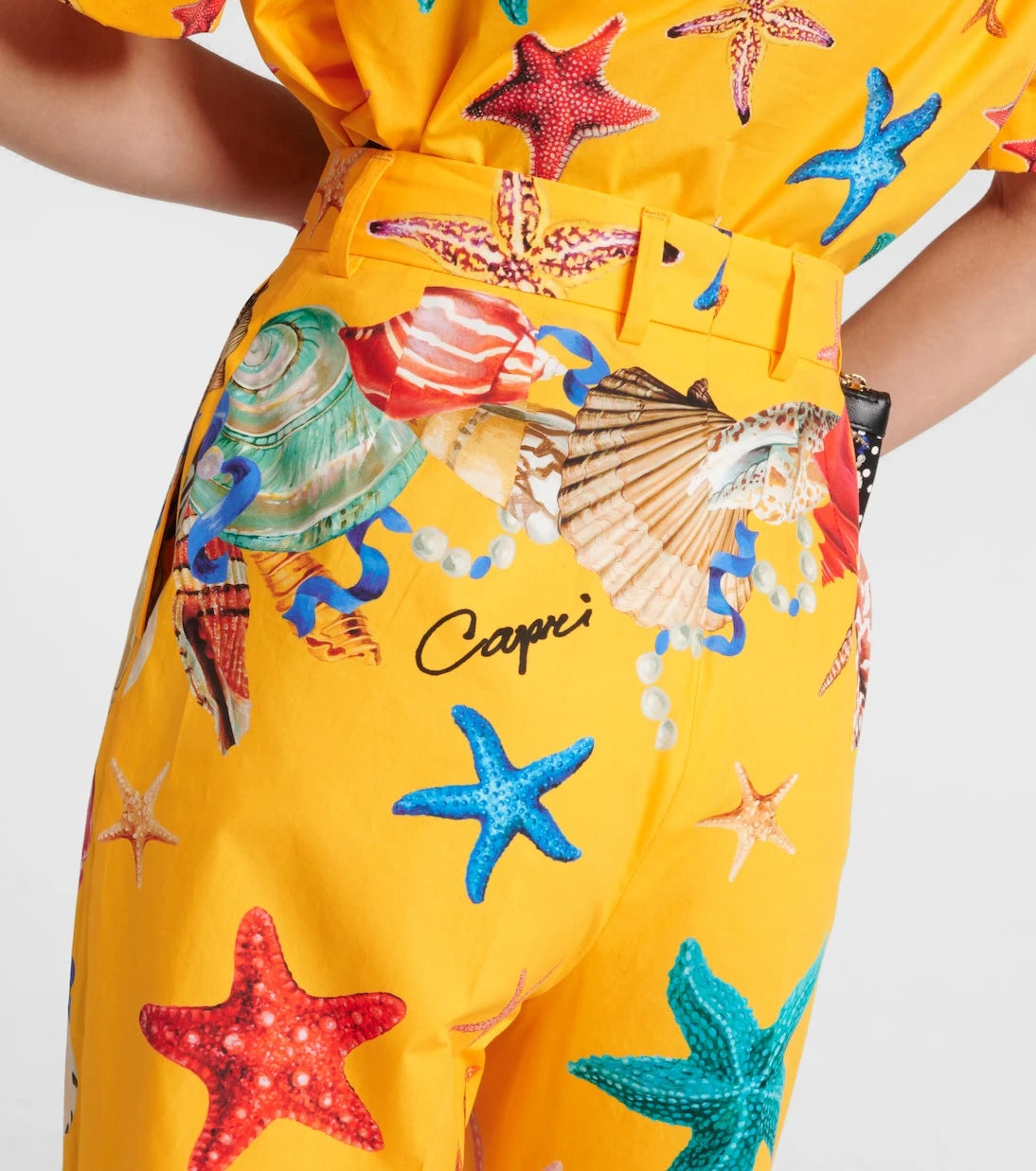 Dolce&Gabbana - Capri printed high-rise cotton tapered pants