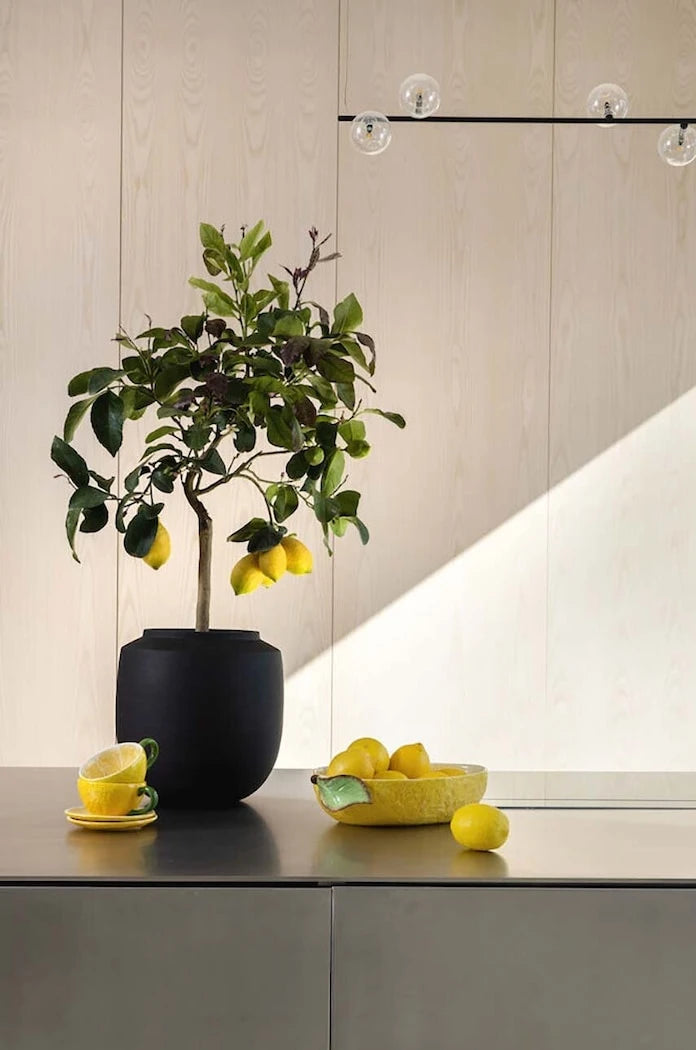 Купа Byon Lemon L