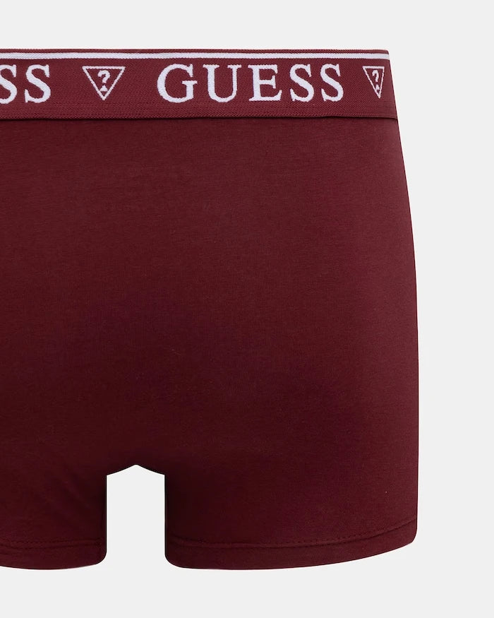 Guess BARNEY Boxer
