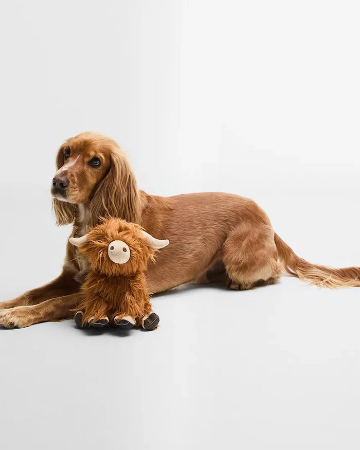 Barbour Highland Cow Dog Toy 23 cm Köpek Oyuncağı
