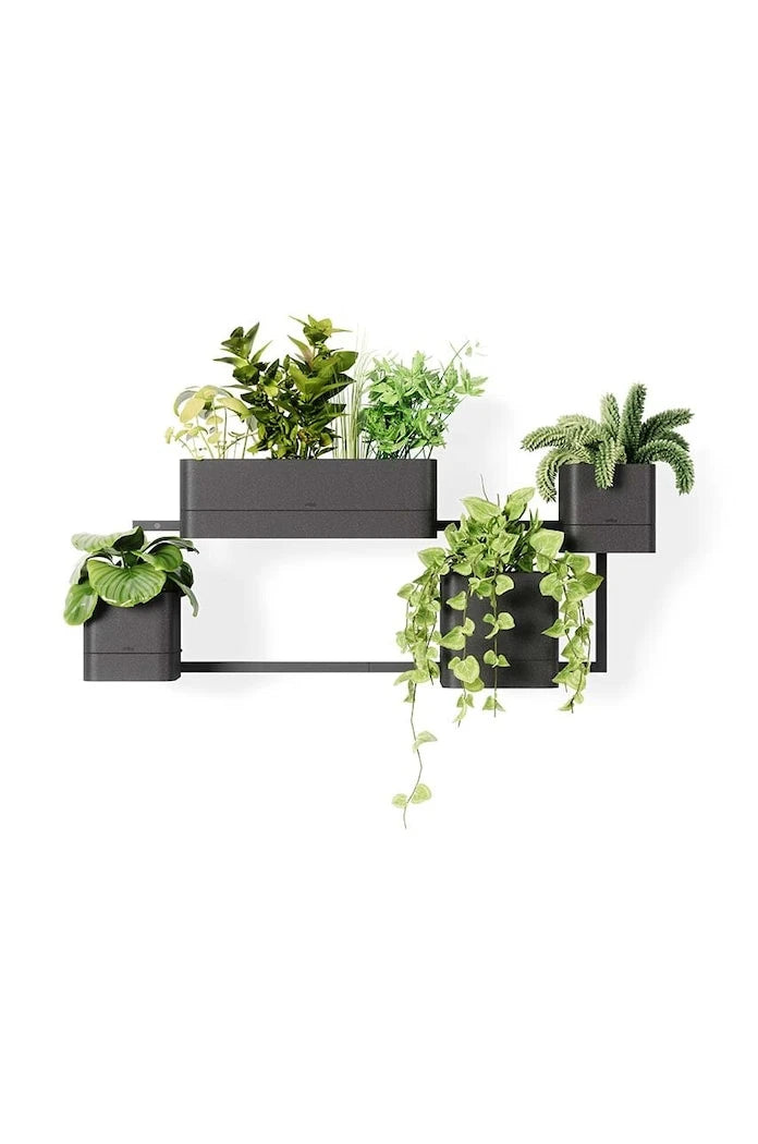 Umbra Cubiko Duvar Saksısı Seti 35,6 x 72,6 cm