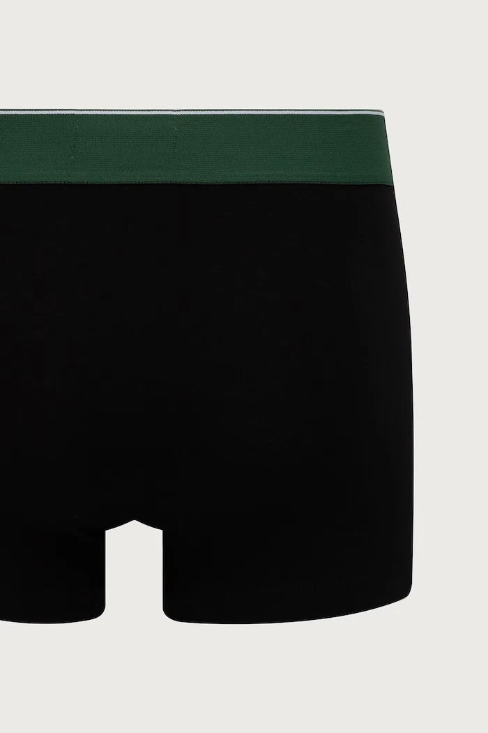 Lacoste pamuk ve elastan içeren erkek dar kesim boxer 3'lü