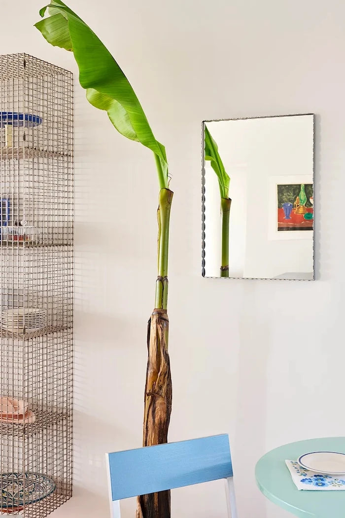 HAY Arcs 61 x 43 cm Duvar Aynası