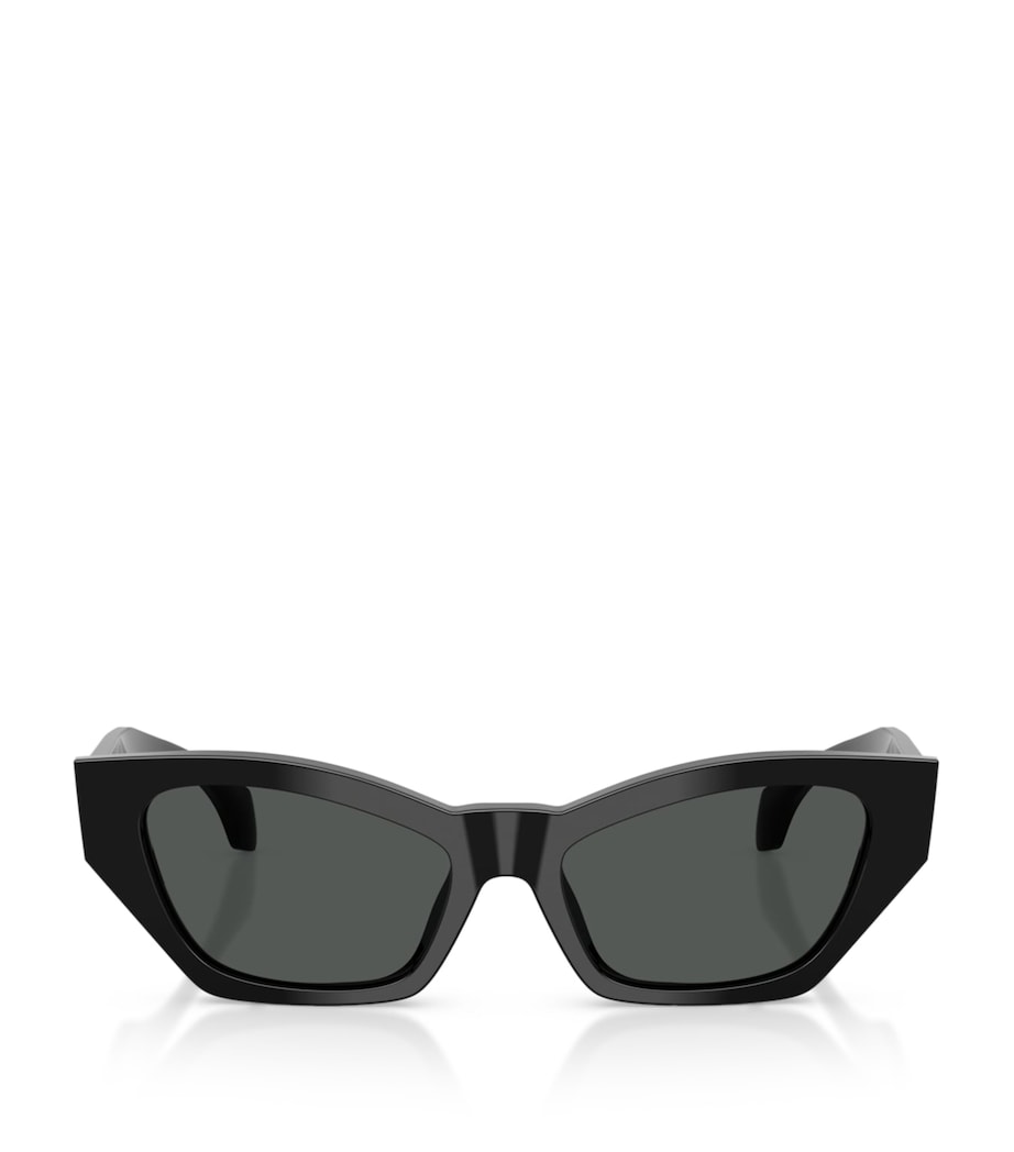 Black Cat Eye Sunglasses