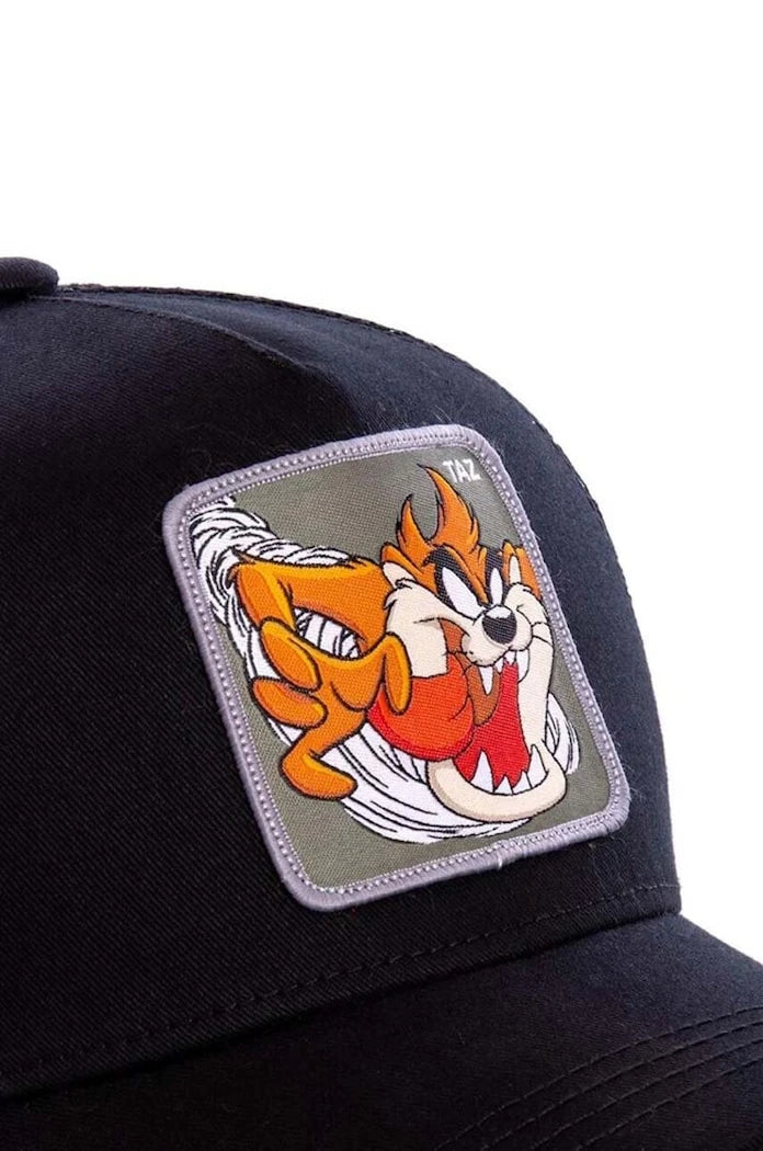 Capslab шапка